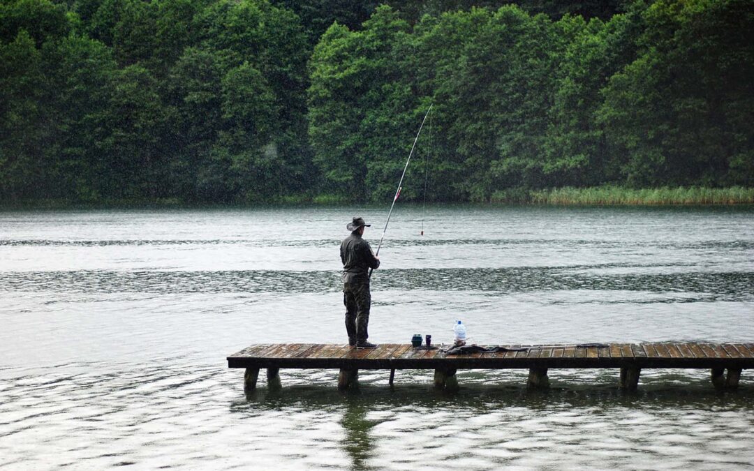 The Awe-Inspiring Odyssey of the Salmon