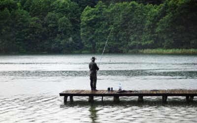 The Awe-Inspiring Odyssey of the Salmon